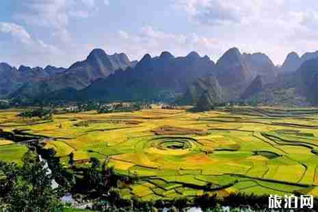 云南罗平油菜花节预计2月开始 罗平油菜花节活动时间安排