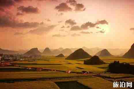 2019年春天去哪里看花 国内赏花地推荐