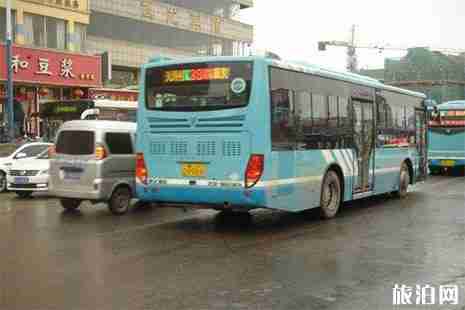 春节期间泰安乘公交优惠政策2019