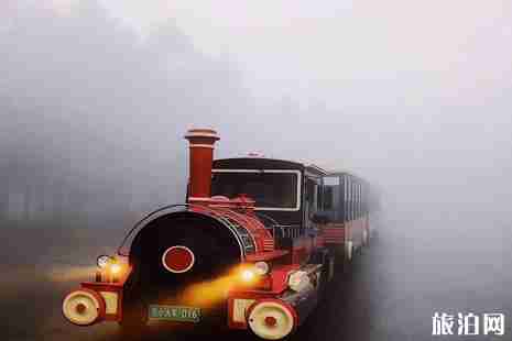 重庆仙女山国家森林公园游玩攻略