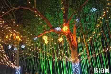 2019临沂春节旅游 临沂春节去哪玩好