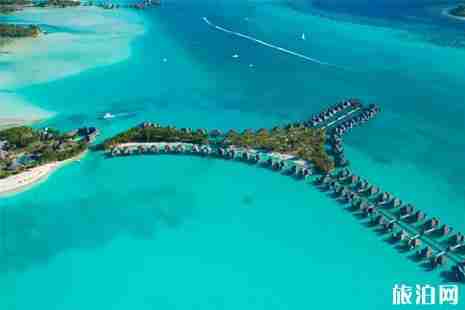 单身去哪里旅游