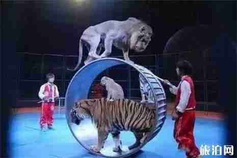 廊坊永清庙会2019 时间+地点