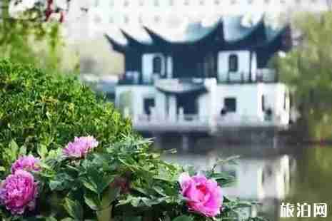 2019徐州赏花景点介绍