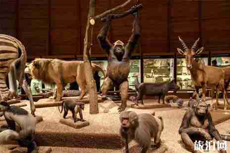 北京適合帶孩子去的博物館推薦