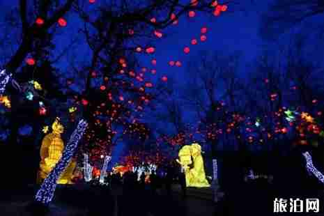 沈阳元宵节哪里有灯会 2019沈阳灯会时间+地点