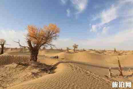 去新疆旅游最好的路线推荐