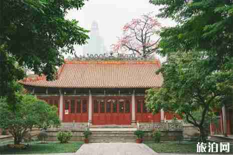 广州哪里的木棉花好看