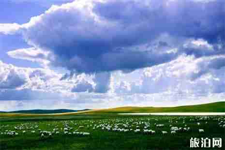 呼伦贝尔大草原北线自驾游旅游攻略