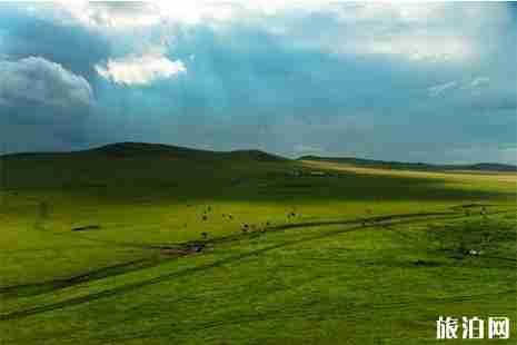 呼伦贝尔大草原南北环线路线 附详细路线