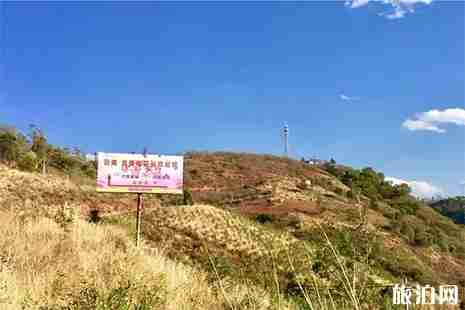 2019云南宜良樱花谷首届樱花节时间