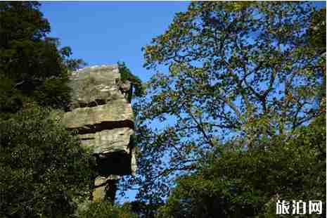 惠州清明踏春适合去哪里