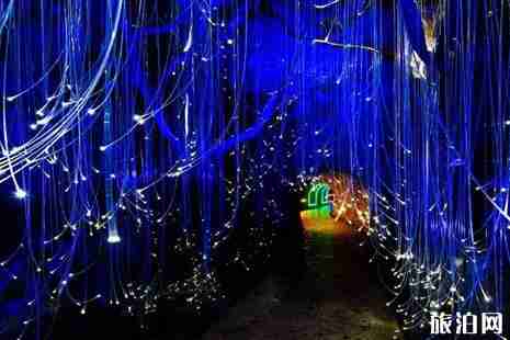 2019三八妇女节石台醉山野景区门票优惠政策+介绍