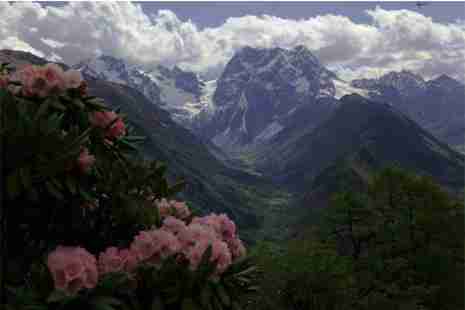 攀枝花杜鹃花海在哪里
