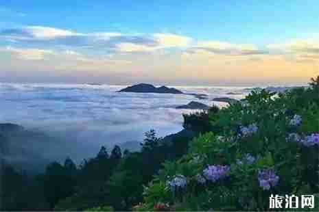 2019天台山杜鹃花最佳观赏时间