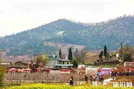 2019云南楚雄禄丰桃文化旅游节