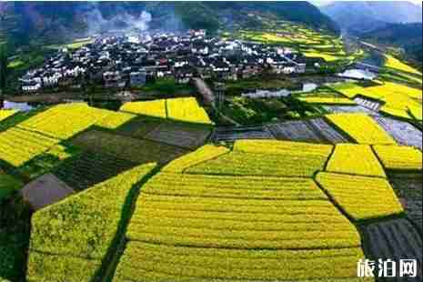 二三月份适合去哪旅游