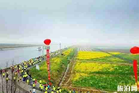 2019湖北油菜花节3月19日开启 赏花全攻略