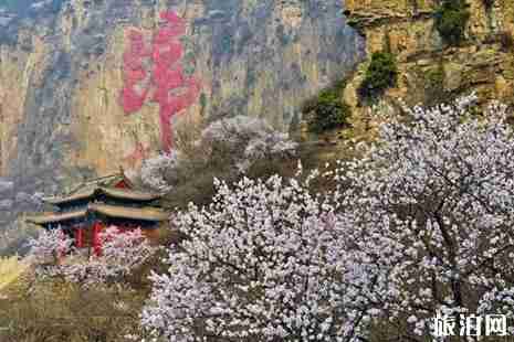 2019河北桃花观赏攻略