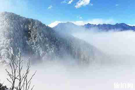 2019四川三八节景区优惠信息汇总