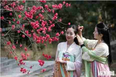 2019南宁园博园三八妇女节活动攻略