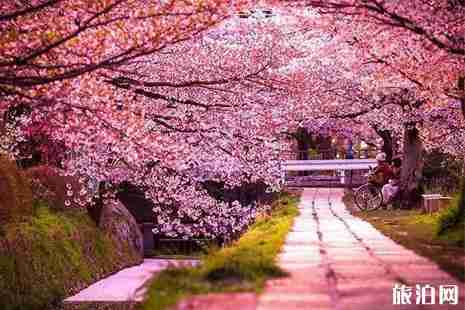 国内日本jr车票怎么买