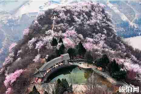 2019雄安哪里可以赏花 雄安赏花地图