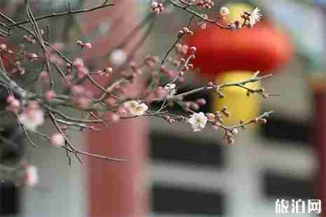 开封踏春赏花地点推荐 开封赏花好去处