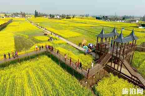 2019广汉周边赏花景点 广汉赏花好去处