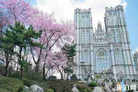 2019首尔樱花开放时间+观赏地点推荐