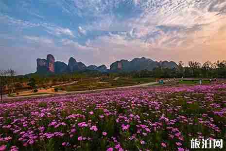 2019龙虎山首届花朝节3月8日至4月15日
