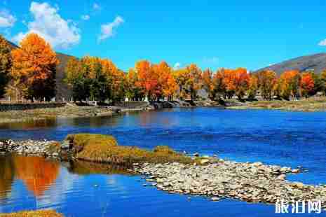 稻城机场到亚丁景区怎么坐车+沿途景点介绍