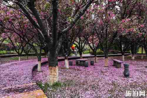 眉山最值得去的景点 门票+最佳游玩时间
