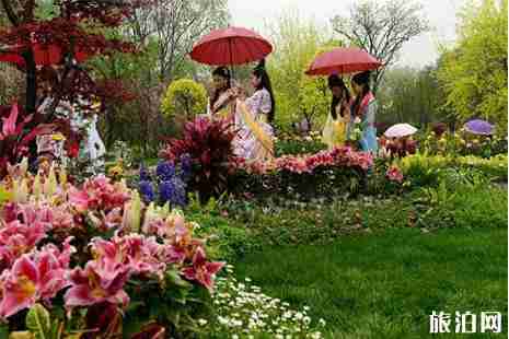 2019宜春樱花谷樱花节门票