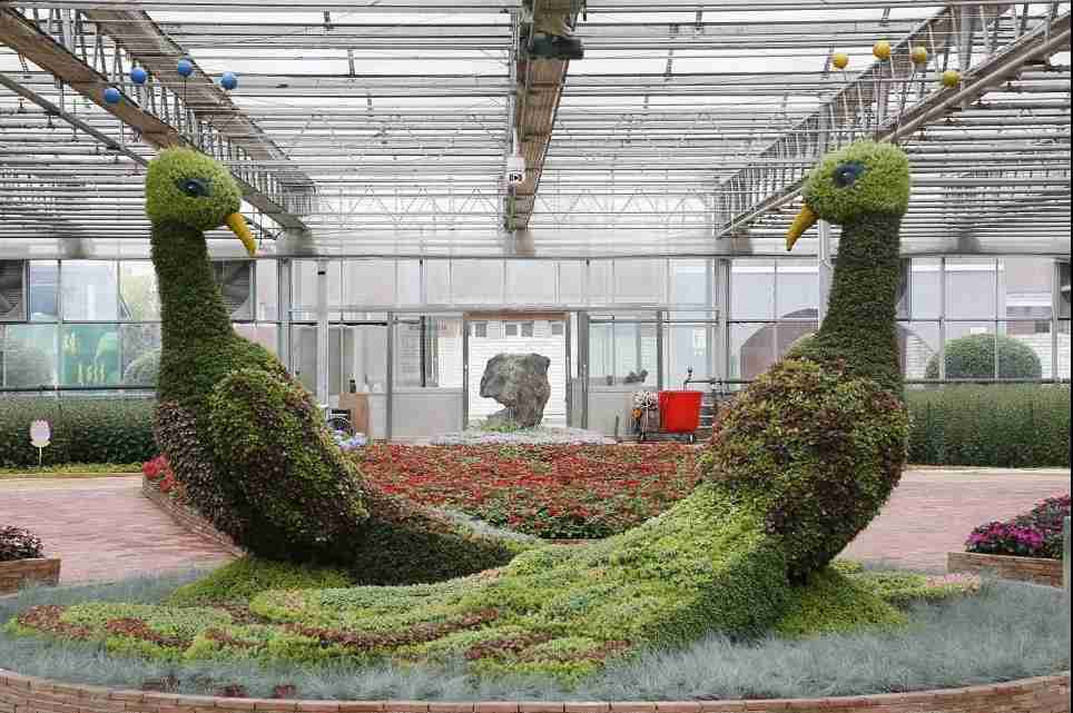 2020长春冬季农博会活动攻略（时间+地点+门票）