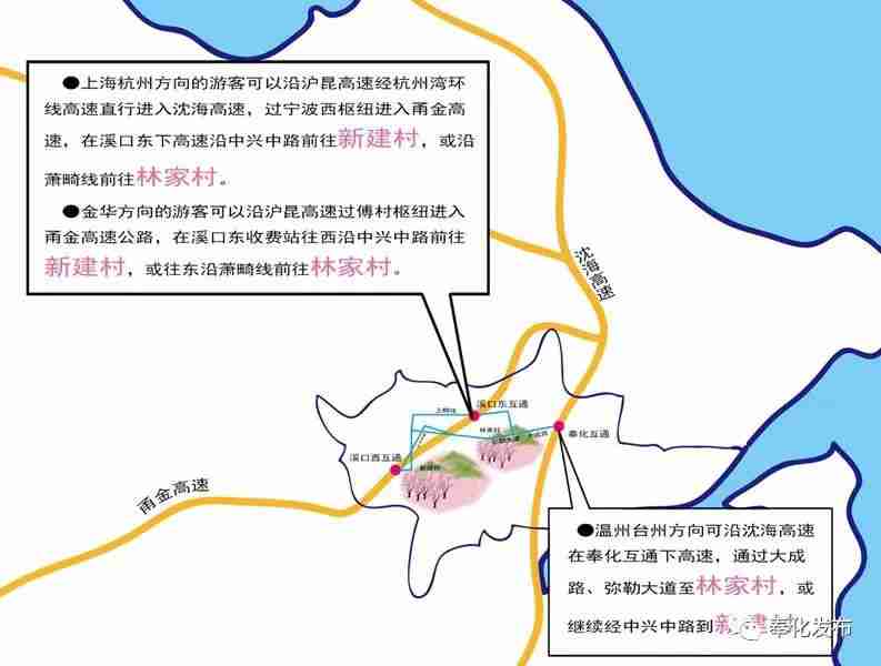 2020奉化桃花觀賞攻略（花期+賞花地+最新消息）