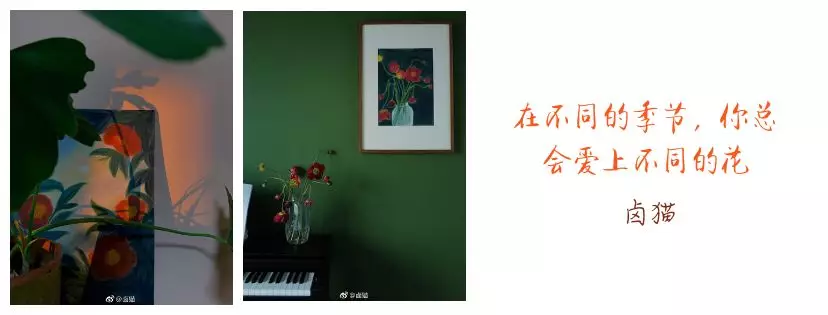 2019上海鹵貓個展時間+門票+交通