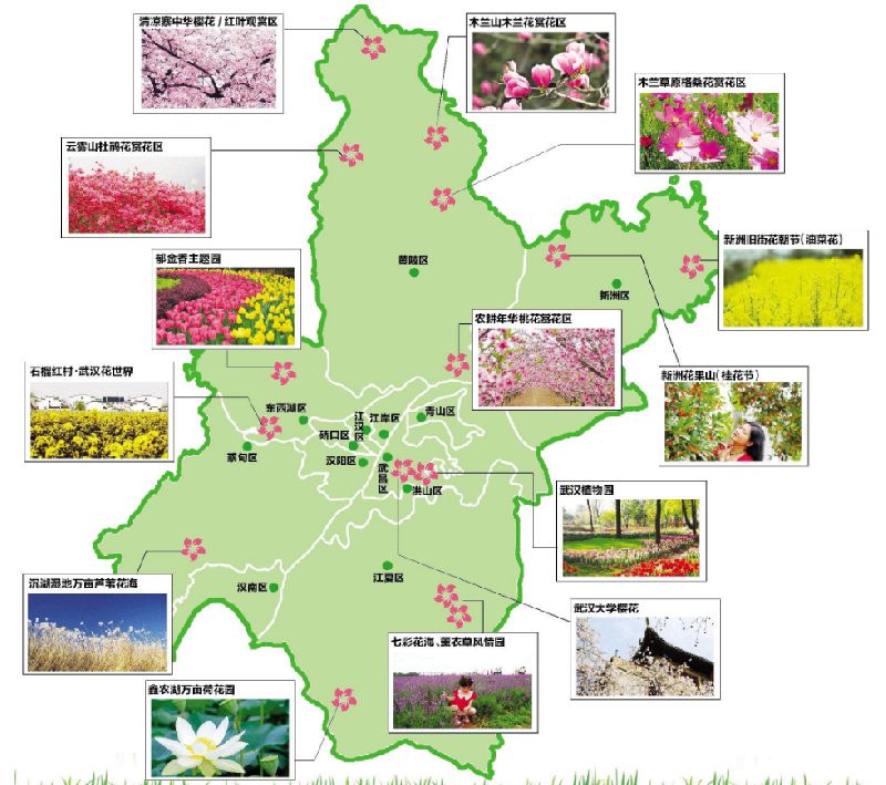 武汉赏花地图出炉 花期及地图大全