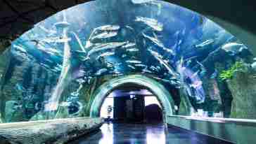 成都海滨城浩海立方海洋馆玩耍攻略（场馆+门票+交通）