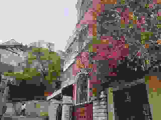 想来一场一个人的旅行 那一定不能少了这份自由行攻略