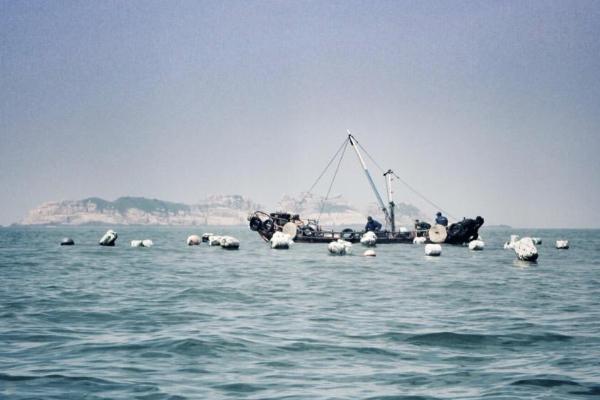 舟山有什么好玩的地方 旅游景点推荐