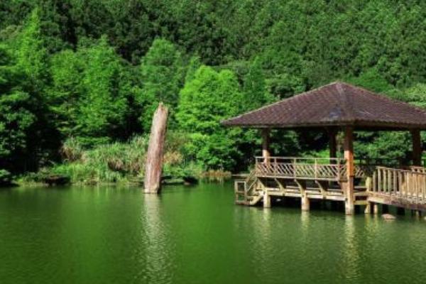 郑州春游最适合去的地方，郑州春游踏青场地推荐