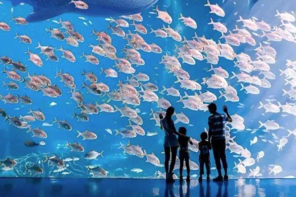 2021珠海春节去哪里玩 珠海春节好去处