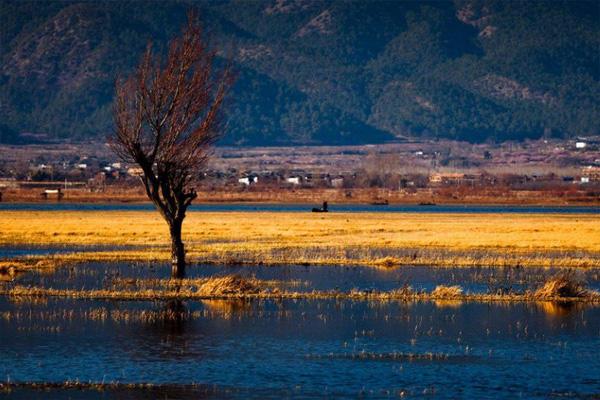 春节云南旅游要隔离吗 云南春节旅游最佳路线