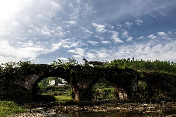 2021留惠过年去哪儿玩好 留惠过年好去处推荐