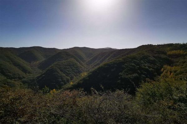 巩义长寿山景区门票多少钱一张及优惠政策，附一日游攻略