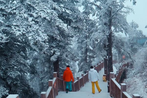 冬天四川适合去哪里旅游 四川下雪的地方景点