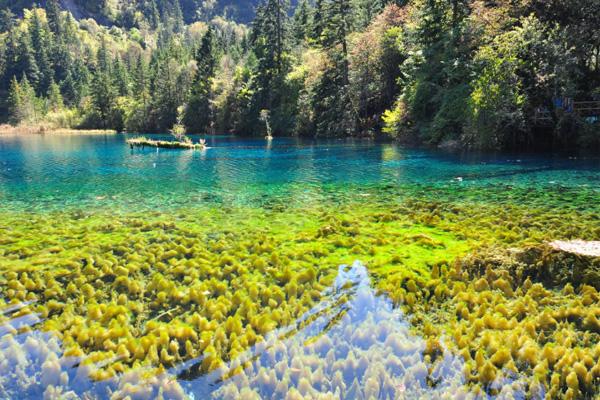 2020九寨沟11月份能去吗 及九寨沟旅游攻略