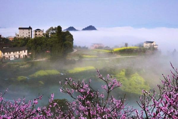 舟山桃花岛门票多少钱一张， 上岛免费部分景点收费（附优惠政策及旅游攻略）