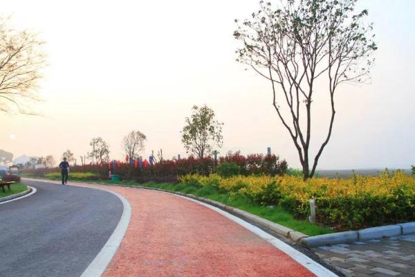 无锡南青荡要门票吗 南青荡玫瑰步道游玩攻略